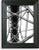 Fayette Wood Picture Frame 4X6, 5X7, 8X10 / Black, White, Grey