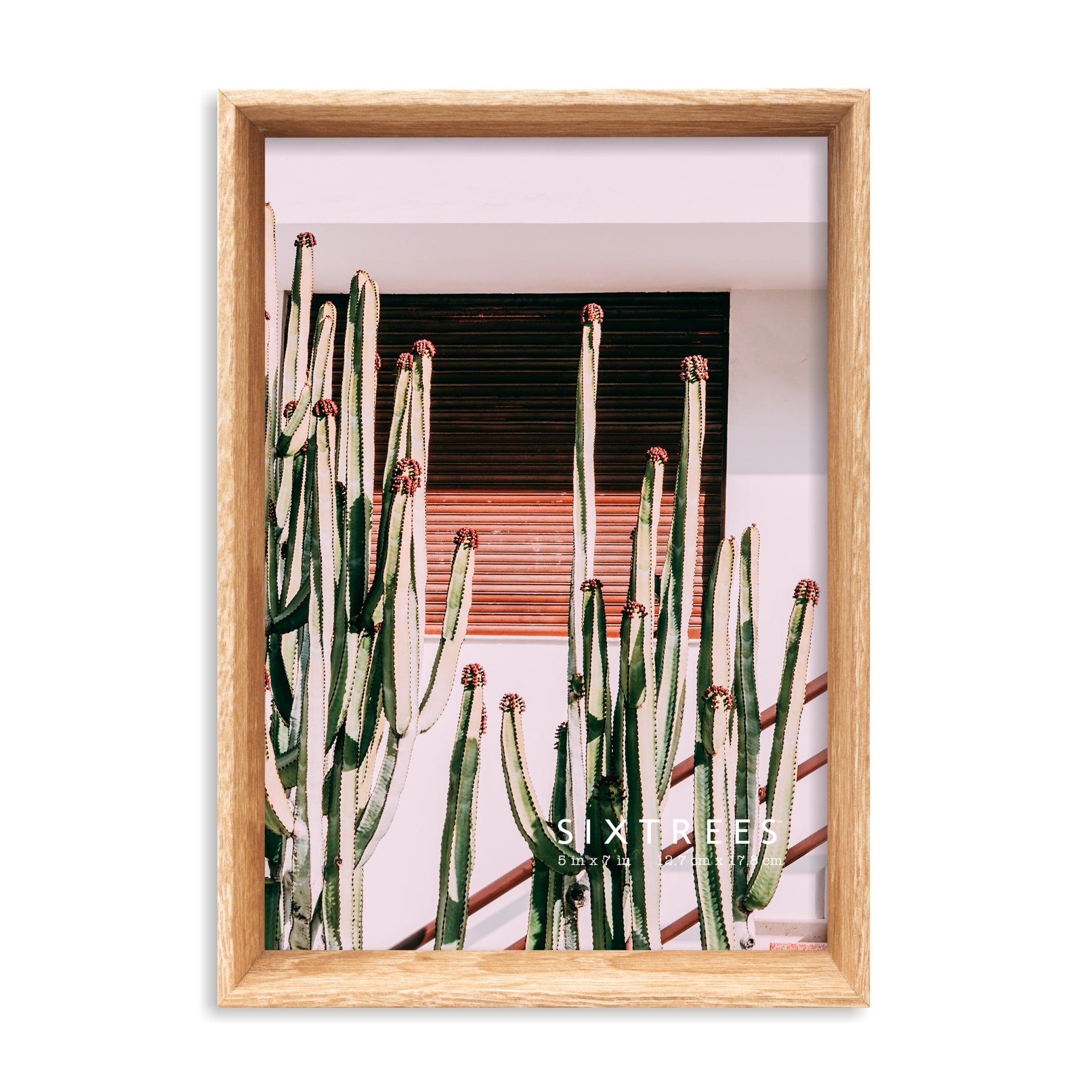 Shelby Collection Dual Colored Wood Picture Frames - 4X4, 4X6, 5X7